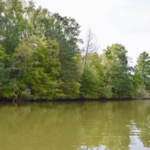 Photo of UNDER CONTRACT!  5 Acres of Residential Waterfront Land For Sale in Bedford County VA!