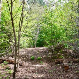 Photo of UNDER CONTRACT!  5 Acres of Residential Waterfront Land For Sale in Bedford County VA!