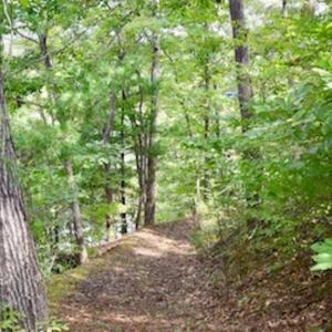 Photo of UNDER CONTRACT!  5 Acres of Residential Waterfront Land For Sale in Bedford County VA!