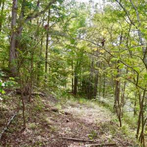 Photo of UNDER CONTRACT!  5 Acres of Residential Waterfront Land For Sale in Bedford County VA!