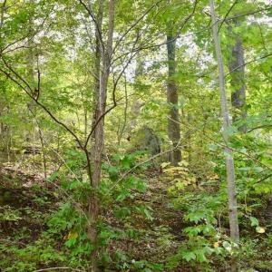 Photo of UNDER CONTRACT!  5 Acres of Residential Waterfront Land For Sale in Bedford County VA!