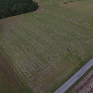 Photo of UNDER CONTRACT!  5 Acres of  Cleared Building Land For Sale in Suffolk County VA!