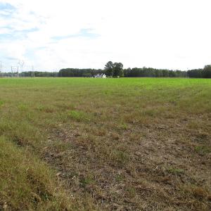 Photo of UNDER CONTRACT!  5 Acres of  Cleared Building Land For Sale in Suffolk County VA!