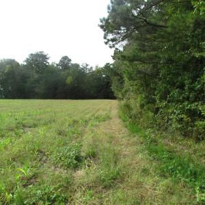 Photo of UNDER CONTRACT!  5 Acres of  Cleared Building Land For Sale in Suffolk County VA!