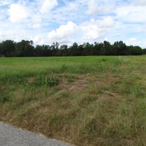 Photo of UNDER CONTRACT!  5 Acres of  Cleared Building Land For Sale in Suffolk County VA!