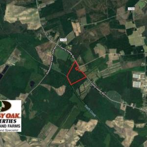 Photo of UNDER CONTRACT!  47 Acres of Timber and Hunting Land For Sale in Pitt County NC!