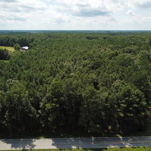 Photo of UNDER CONTRACT!  47 Acres of Timber and Hunting Land For Sale in Pitt County NC!