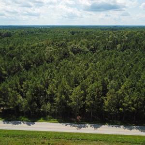 Photo of UNDER CONTRACT!  47 Acres of Timber and Hunting Land For Sale in Pitt County NC!