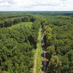 Photo of UNDER CONTRACT!  47 Acres of Timber and Hunting Land For Sale in Pitt County NC!