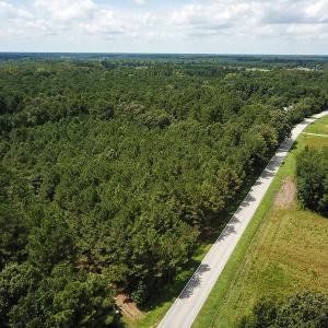 Photo of UNDER CONTRACT!  47 Acres of Timber and Hunting Land For Sale in Pitt County NC!