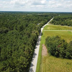 Photo of UNDER CONTRACT!  47 Acres of Timber and Hunting Land For Sale in Pitt County NC!