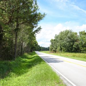 Photo of UNDER CONTRACT!  47 Acres of Timber and Hunting Land For Sale in Pitt County NC!