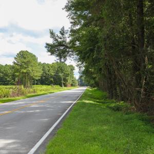 Photo of UNDER CONTRACT!  47 Acres of Timber and Hunting Land For Sale in Pitt County NC!