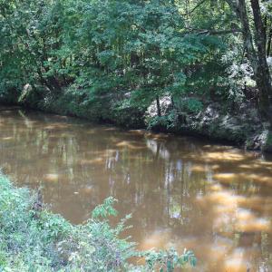 Photo of UNDER CONTRACT!  47 Acres of Timber and Hunting Land For Sale in Pitt County NC!