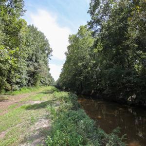 Photo of UNDER CONTRACT!  47 Acres of Timber and Hunting Land For Sale in Pitt County NC!