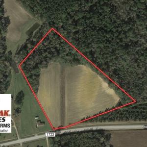 Photo of UNDER CONTRACT!  10 Acres of Farm and Residential Land For Sale in Columbus County NC!