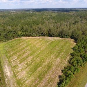Photo of UNDER CONTRACT!  10 Acres of Farm and Residential Land For Sale in Columbus County NC!