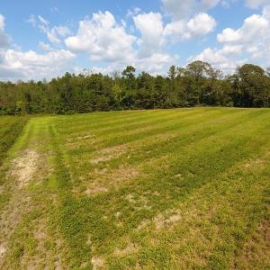 Photo of UNDER CONTRACT!  10 Acres of Farm and Residential Land For Sale in Columbus County NC!
