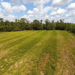 Photo of UNDER CONTRACT!  10 Acres of Farm and Residential Land For Sale in Columbus County NC!