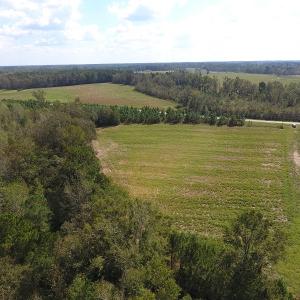 Photo of UNDER CONTRACT!  10 Acres of Farm and Residential Land For Sale in Columbus County NC!