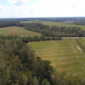 Photo of UNDER CONTRACT!  10 Acres of Farm and Residential Land For Sale in Columbus County NC!