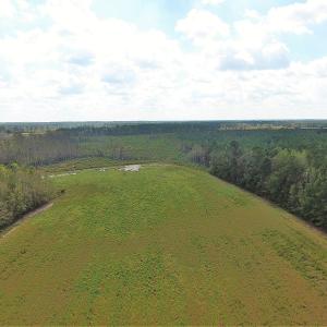 Photo of UNDER CONTRACT!  46 Acres of Farm and Timber Land for Sale in Columbus County NC!