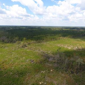 Photo of UNDER CONTRACT!  46 Acres of Farm and Timber Land for Sale in Columbus County NC!