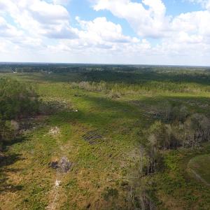 Photo of UNDER CONTRACT!  46 Acres of Farm and Timber Land for Sale in Columbus County NC!