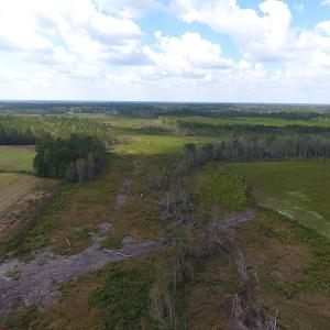 Photo of UNDER CONTRACT!  46 Acres of Farm and Timber Land for Sale in Columbus County NC!