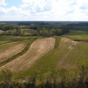Photo of UNDER CONTRACT!  46 Acres of Farm and Timber Land for Sale in Columbus County NC!