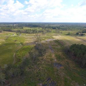 Photo of UNDER CONTRACT!  46 Acres of Farm and Timber Land for Sale in Columbus County NC!