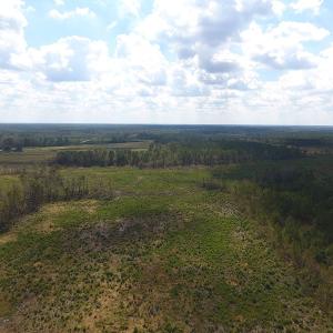 Photo of UNDER CONTRACT!  46 Acres of Farm and Timber Land for Sale in Columbus County NC!