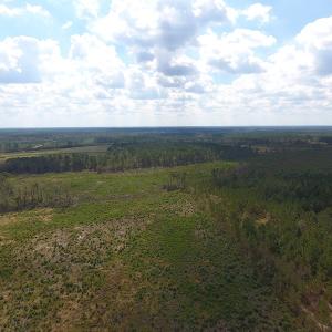Photo of UNDER CONTRACT!  46 Acres of Farm and Timber Land for Sale in Columbus County NC!