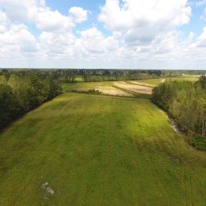 Photo of UNDER CONTRACT!  46 Acres of Farm and Timber Land for Sale in Columbus County NC!