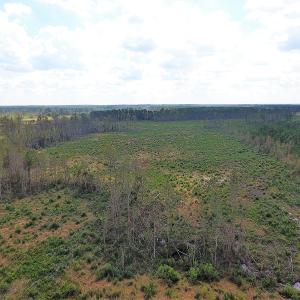 Photo of UNDER CONTRACT!  46 Acres of Farm and Timber Land for Sale in Columbus County NC!