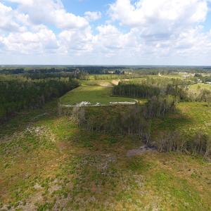 Photo of UNDER CONTRACT!  46 Acres of Farm and Timber Land for Sale in Columbus County NC!