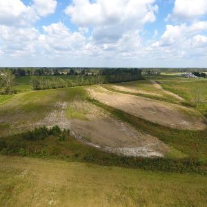 Photo of UNDER CONTRACT!  46 Acres of Farm and Timber Land for Sale in Columbus County NC!