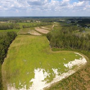 Photo of UNDER CONTRACT!  46 Acres of Farm and Timber Land for Sale in Columbus County NC!