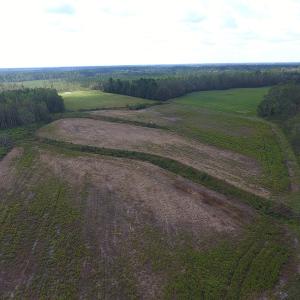 Photo of UNDER CONTRACT!  46 Acres of Farm and Timber Land for Sale in Columbus County NC!