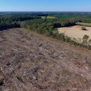 Photo of UNDER CONTRACT!  14.72 Acres of Recreational and Residential Land For Sale in Johnston County NC!