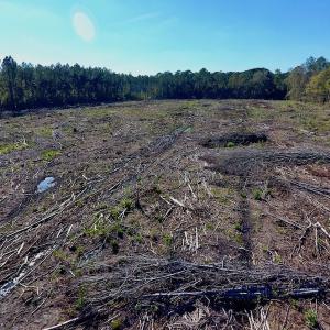 Photo of UNDER CONTRACT!  14.72 Acres of Recreational and Residential Land For Sale in Johnston County NC!