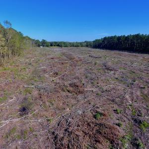 Photo of UNDER CONTRACT!  14.72 Acres of Recreational and Residential Land For Sale in Johnston County NC!