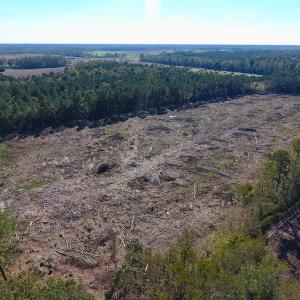 Photo of UNDER CONTRACT!  14.72 Acres of Recreational and Residential Land For Sale in Johnston County NC!