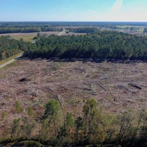 Photo of UNDER CONTRACT!  14.72 Acres of Recreational and Residential Land For Sale in Johnston County NC!