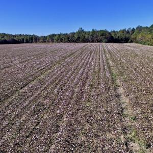 Photo of UNDER CONTRACT!  24.5 Acres of Farm and Hunting Land For Sale in Halifax County NC!