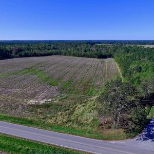 Photo of UNDER CONTRACT!  24.5 Acres of Farm and Hunting Land For Sale in Halifax County NC!