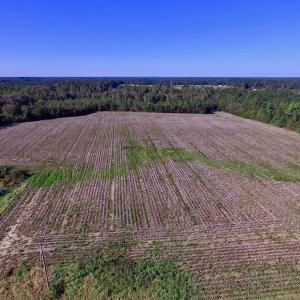 Photo of UNDER CONTRACT!  24.5 Acres of Farm and Hunting Land For Sale in Halifax County NC!