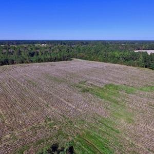 Photo of UNDER CONTRACT!  24.5 Acres of Farm and Hunting Land For Sale in Halifax County NC!