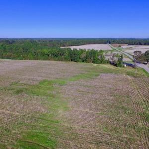 Photo of UNDER CONTRACT!  24.5 Acres of Farm and Hunting Land For Sale in Halifax County NC!