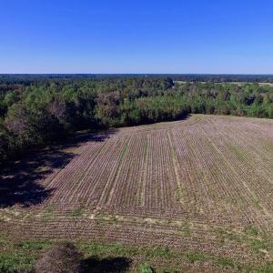 Photo of UNDER CONTRACT!  24.5 Acres of Farm and Hunting Land For Sale in Halifax County NC!